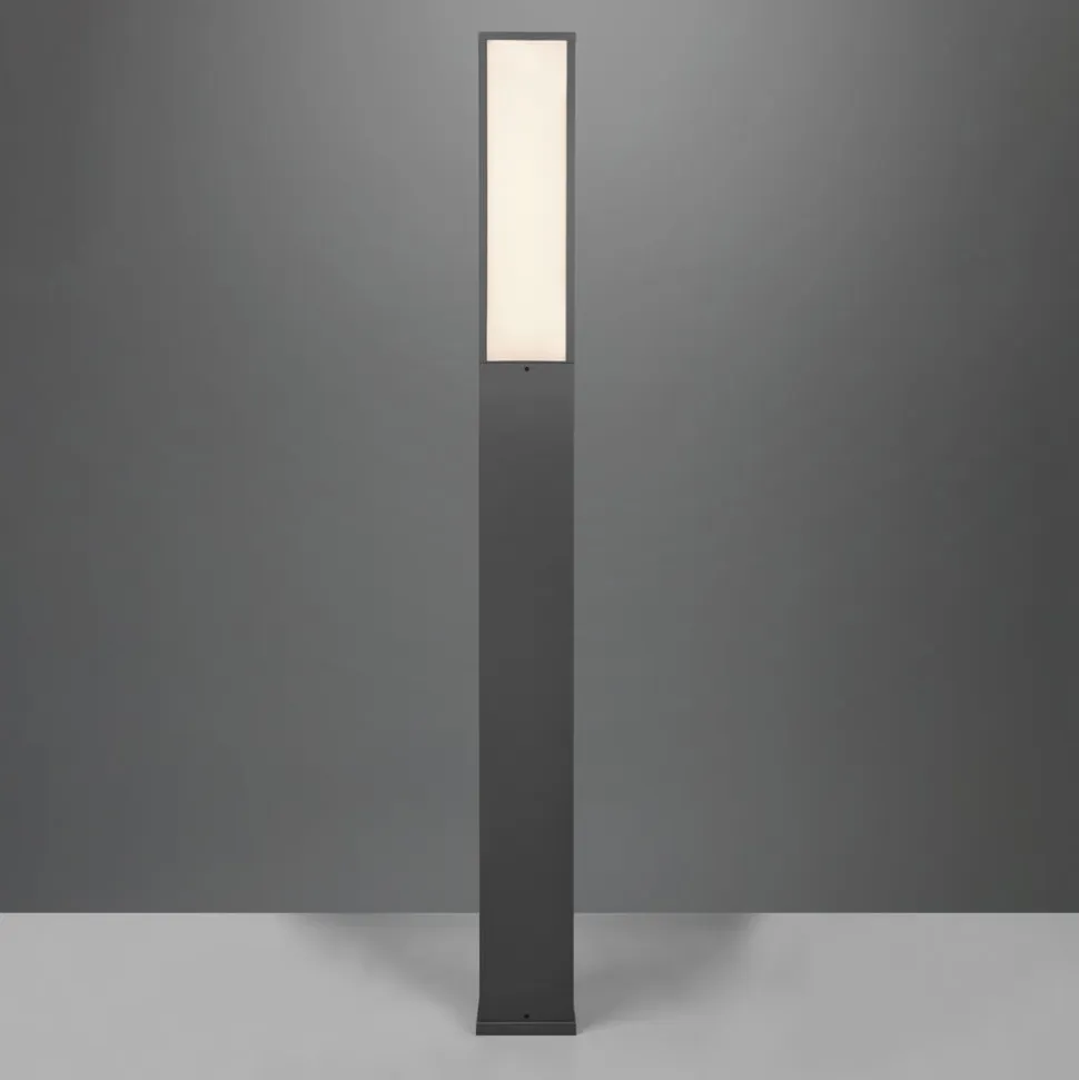 LED-gadelampe Fuerte, antracit, aluminium, IP54