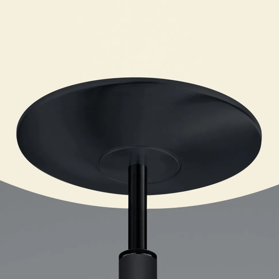 LED-gulvlampe Findus, 2 lyskilder, sort