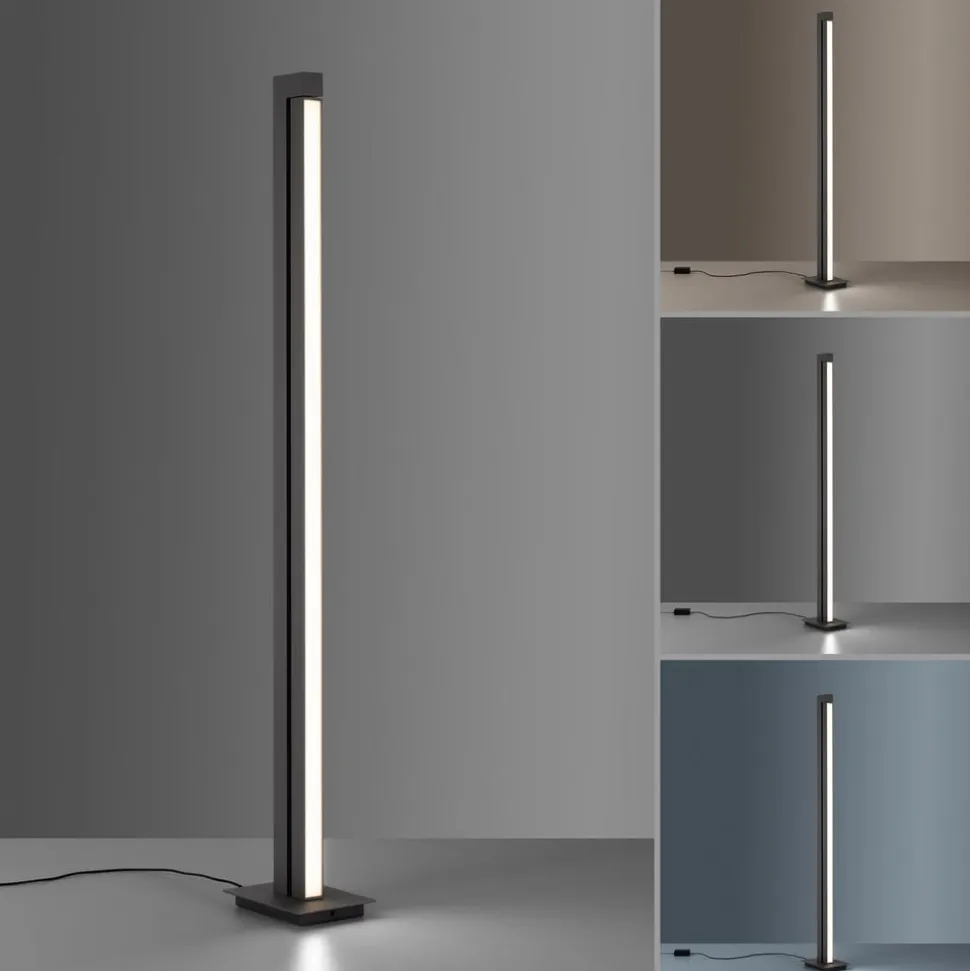 LED-gulvlampe PURE Lines, antracit, fjernbetjening, 140 cm