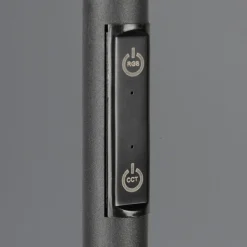 LED-gulvlampe Samba, højde 175 cm, sort, CCT, RGB