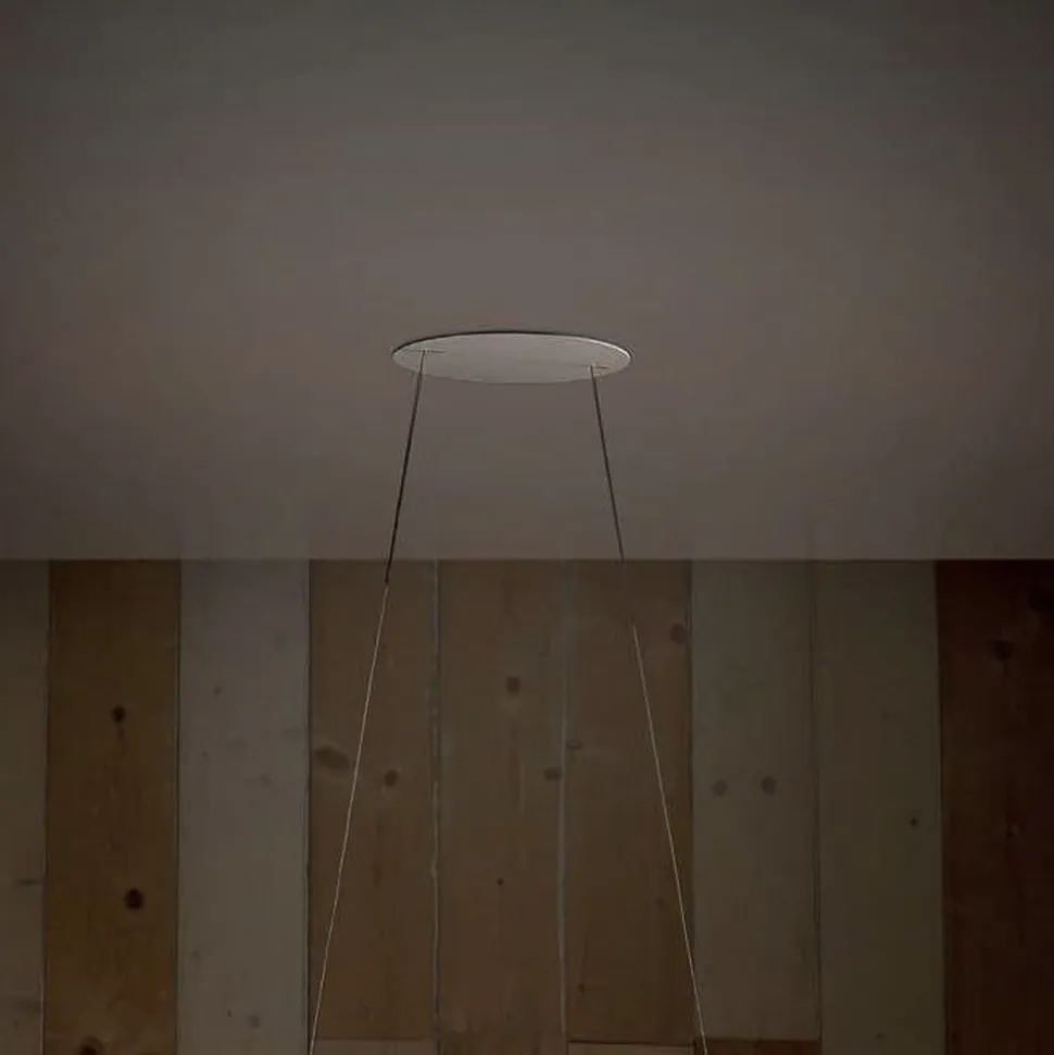 LED-hængelampe Diphy, 76 cm, DALI-dæmpbar