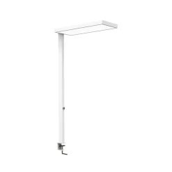 LED-klemmelampe MAULjura, hvid, aluminium, dæmpbar, 100 cm