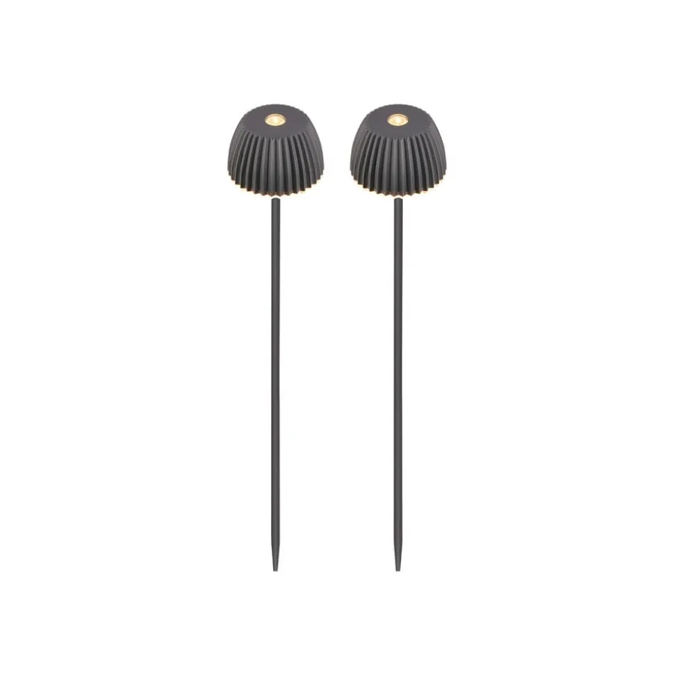 LED-lampe med jordspyd RIFFLE NANO, antracit Ø 6 cm, 2-pak