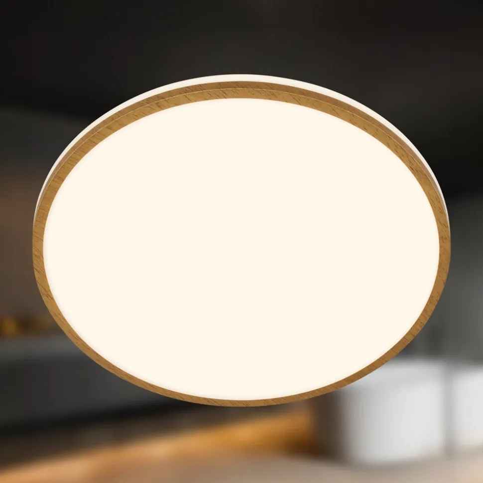 LED-loftlampe Acorus, Ø 33 cm, hvid/træfarvet, IP44