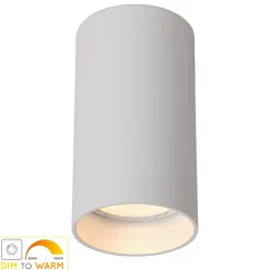 LED-loftlampe Delto dæmpbar til varm, rund, hvid