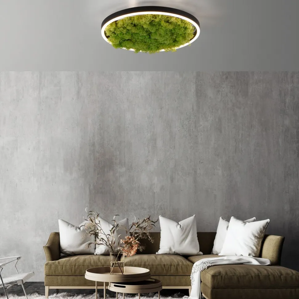 LED-loftlampe Grøn Ritus, mos dæmpbar Ø39,3cm