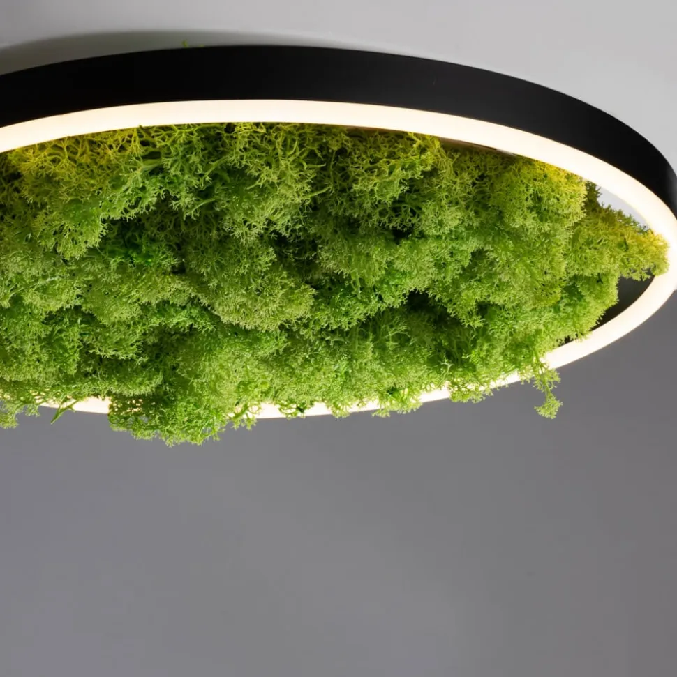 LED-loftlampe Grøn Ritus, mos dæmpbar Ø39,3cm