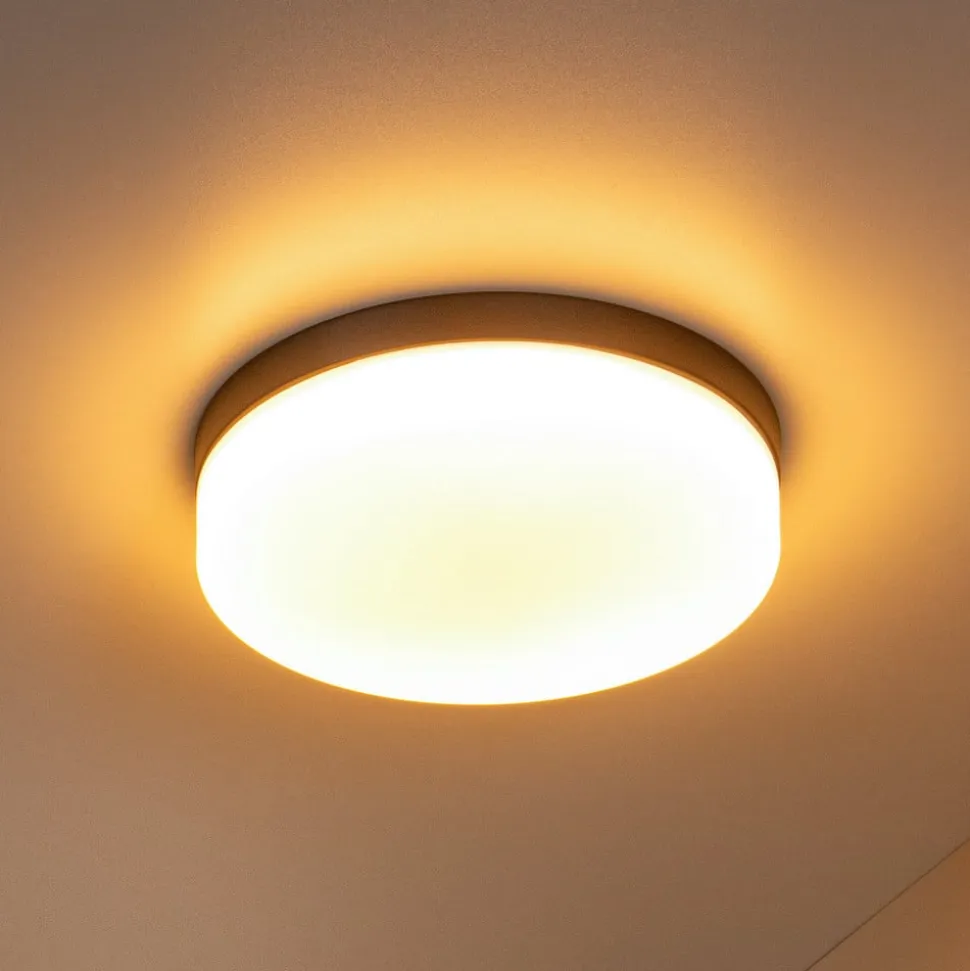 LED-loftlampe til badeværelset Biskit, sort, Ø 23 cm, plast