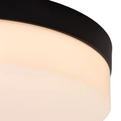 LED-loftlampe til badeværelset Biskit, sort, Ø 23 cm, plast