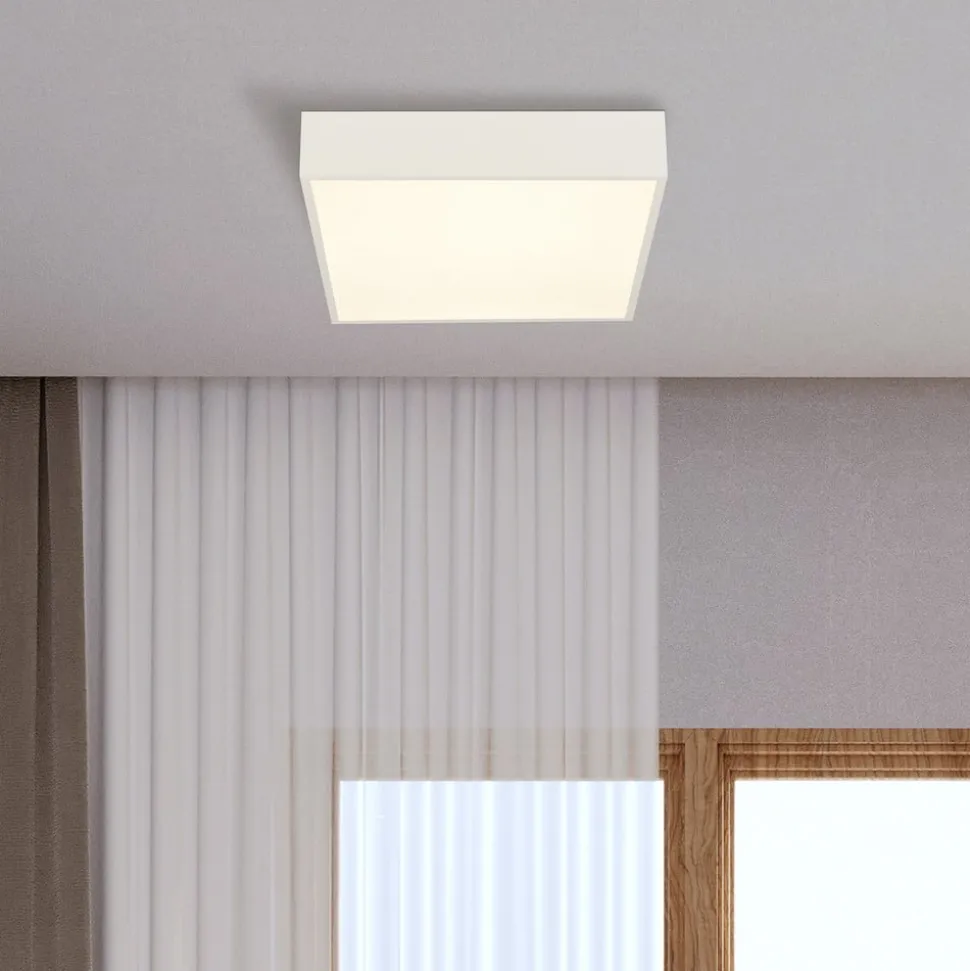 LED-loftlampe til badeværelset Zeus, hvid, længde 30 cm, metal