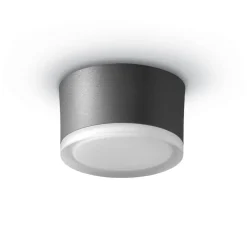 LED-loftslampe 1420 til udendørs brug, grafit Ø 13 cm