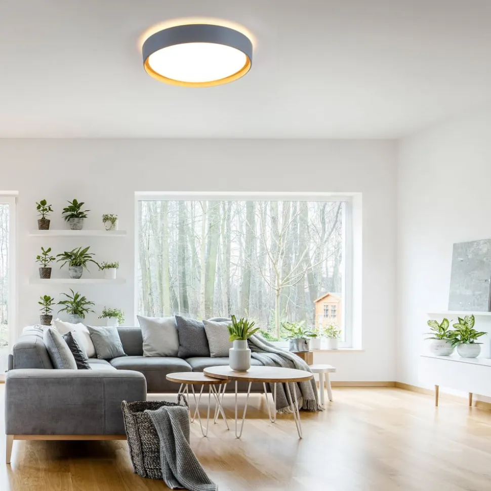 LED-loftslampe Emilia, tretrins dæmpbar, grå