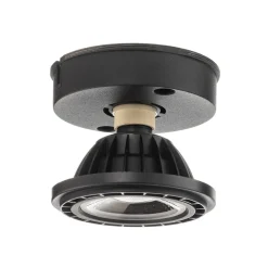 LED-loftslampe Fedler dæmpet til varm, sort
