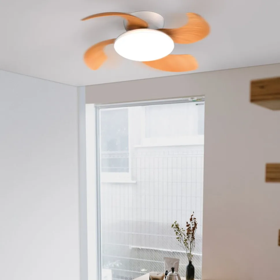 LED-loftventilator Aloha træ DC-motor støjsvag Ø 90 cm CCT