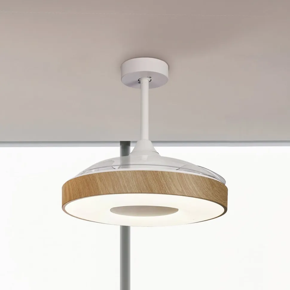 LED-loftventilator Coin træ DC-motor lydsvag Ø 106 cm CCT
