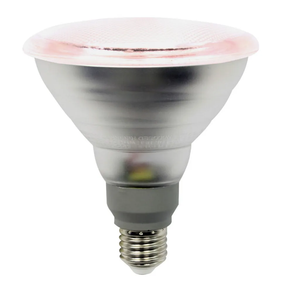 LED-plantepære E27 PAR38 12W 50° strålevinkel