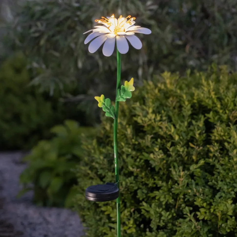 LED-solcellelampe Daisy i daisyform