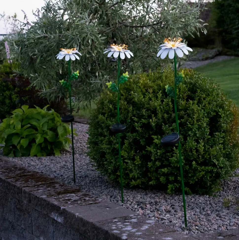 LED-solcellelampe Daisy i daisyform
