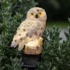 LED-solcellelampe Owl med jordspyd