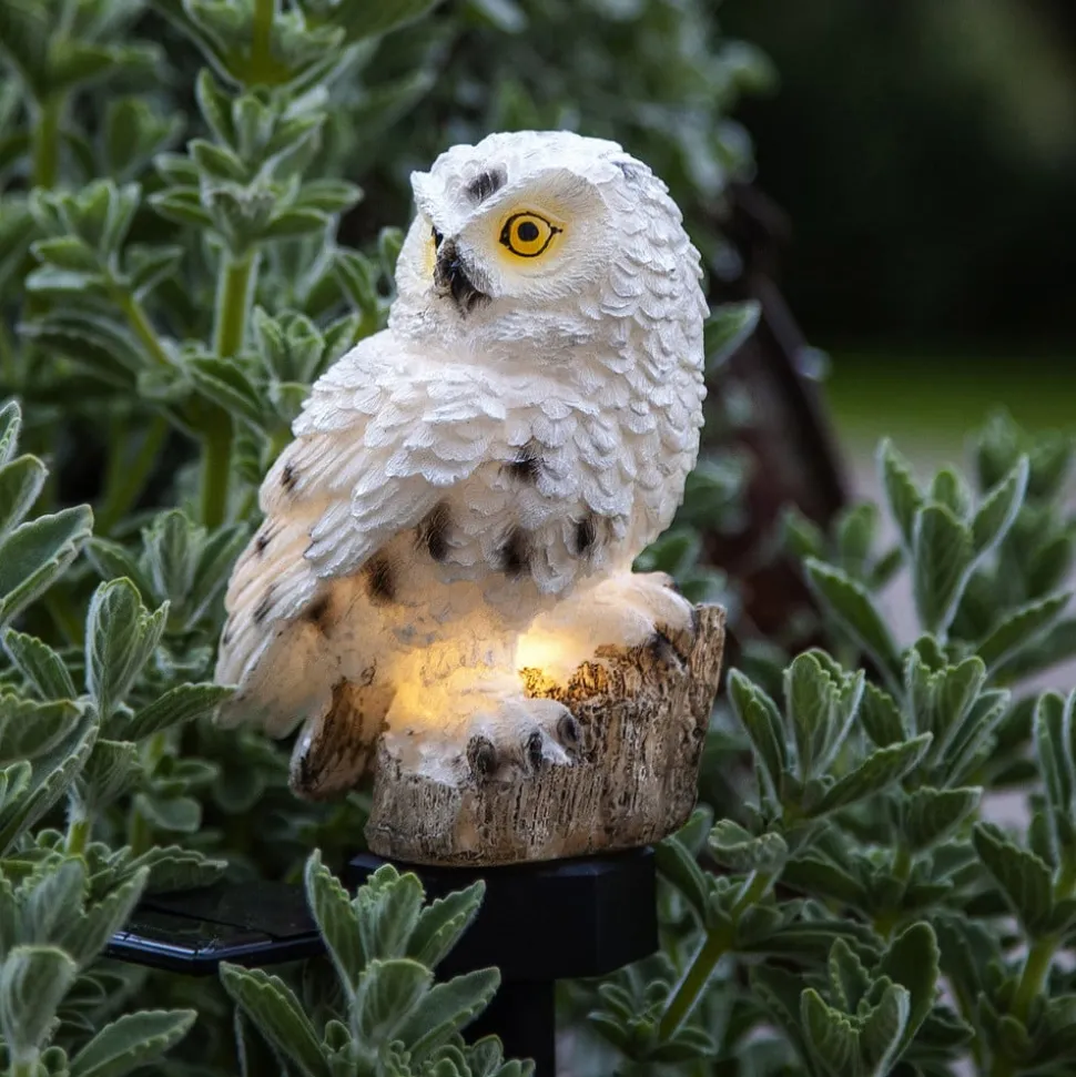 LED-solcellelampe Owl med jordspyd