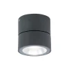 LED-udendørs loftspot Andria, mørkegrå, Ø 9 cm, metal
