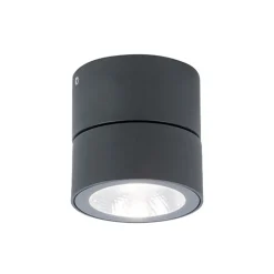 LED-udendørs loftspot Andria, mørkegrå, Ø 9 cm, metal