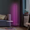 LEDVANCE SMART+ WiFi Floor rund gulvlampe sort