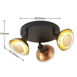 Lindby Erin loftspot, sort/guld, Ø 22 cm, glas