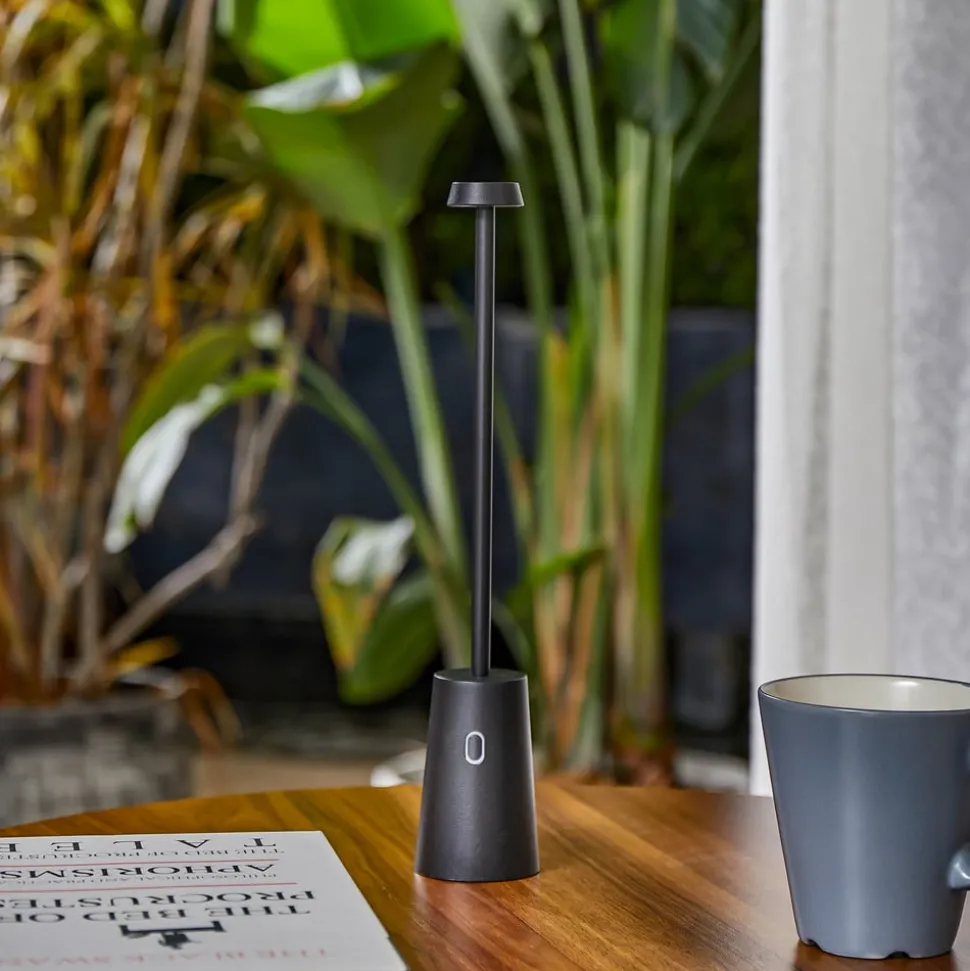 Lindby LED genopladelig bordlampe Noelani, højde 30 cm, IP44, dæmpbar