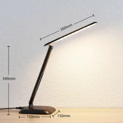 Lindby Ludmilla LED-bordlampe, display, sort