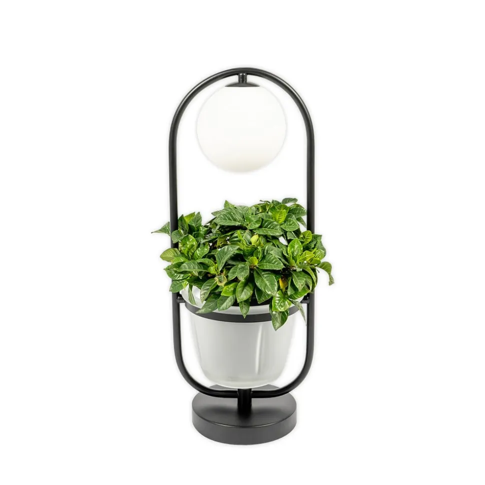 Lindby Orna bordlampe, 1 lyskilde, blomsterampel