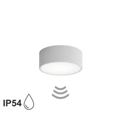 Loftlampe Cleo 200, grå, sensor, IP54, Ø 20 cm, metal