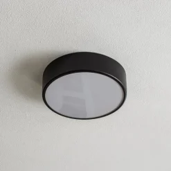 Loftlampe Cleo 300, IP54, Ø 30 cm sort