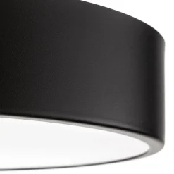 Loftlampe Cleo 400, IP54, Ø 40 cm sort