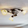 Loftlampe Miranda med 3 lyskilder, bronze