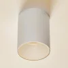 Loftspot Eye Tone i cylinderform hvid