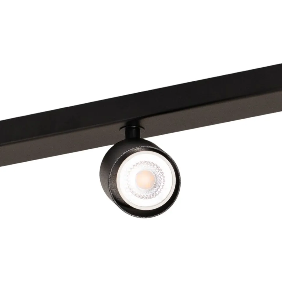 Loftspot Zoom, 4 lyskilder, sort