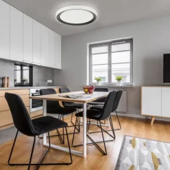 LOLA Smart Disc LED-loftlampe, sort/hvid, RGBW