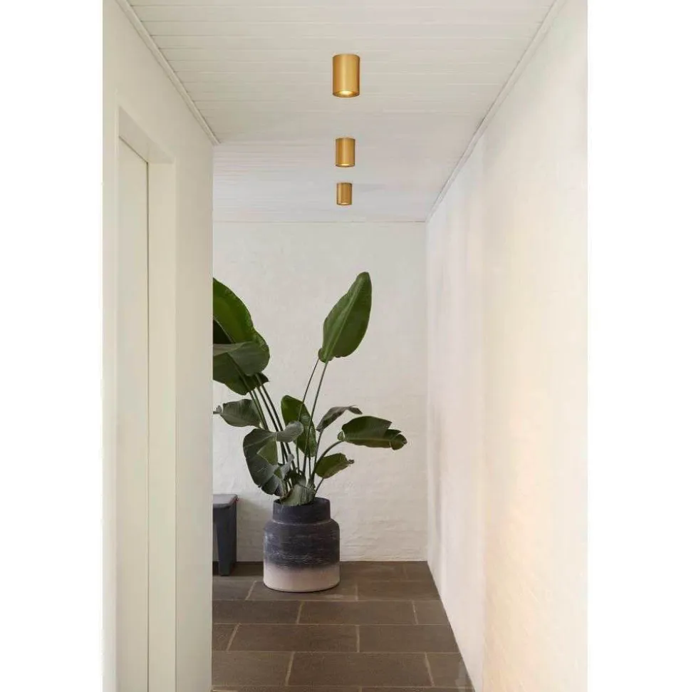 LOOM DESIGN LED-loftlampe Nyx, messing, IP54