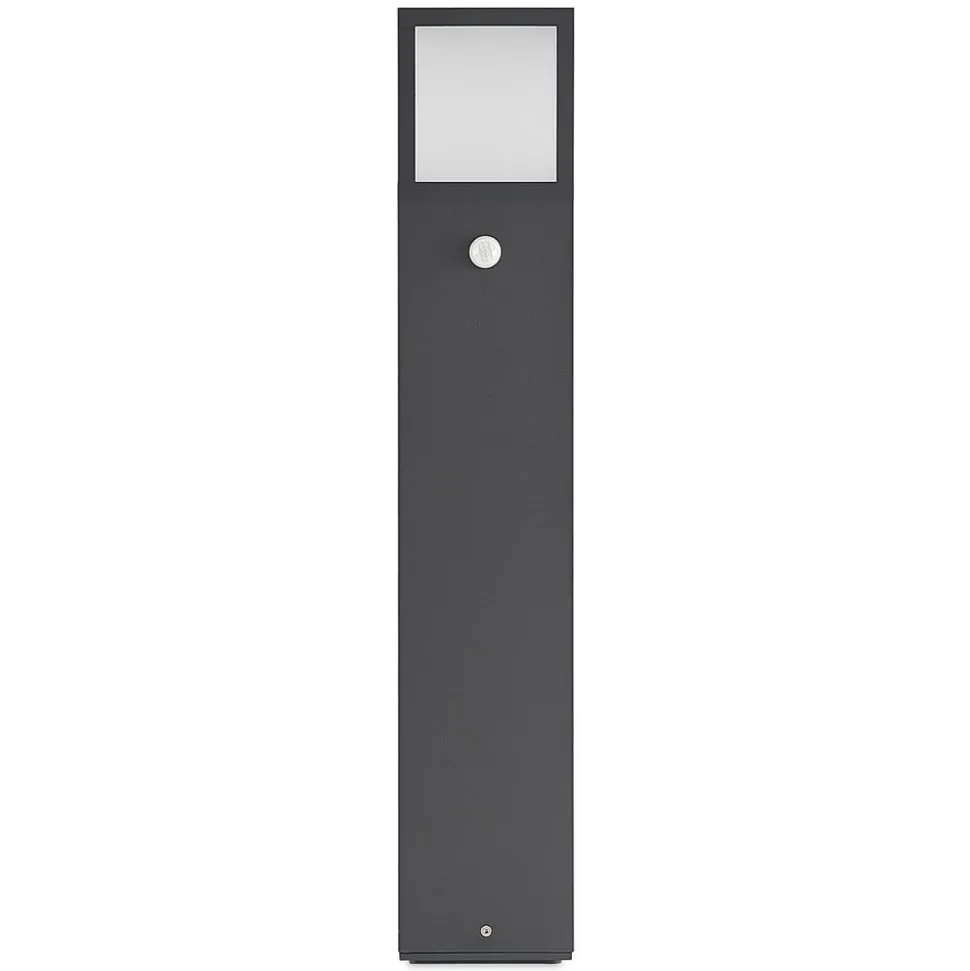 Lucande Dewari vejlampe, bevægelsessensor, E27, 65 cm, IP54