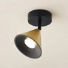 Lucande Kartio loftlampe 1 lysk., drejelig messing