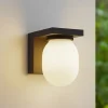 Lucande udendørs væglampe Ovaali, glas, mørkegrå, IP65