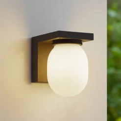Lucande udendørs væglampe Ovaali, glas, mørkegrå, IP65