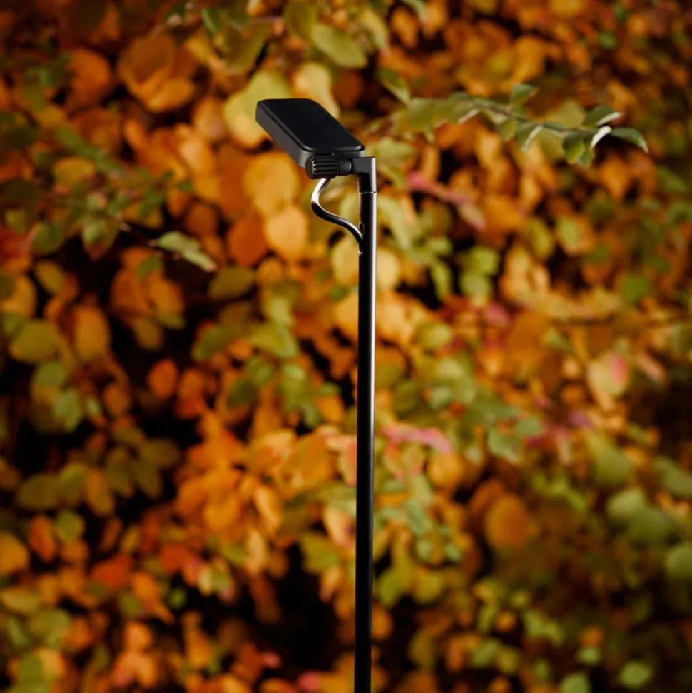 Luceplan LED-vejlampe Flia, 180 cm høj, sort, plast