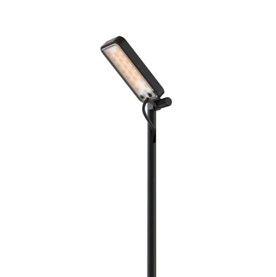 Luceplan LED-vejlampe Flia, 180 cm høj, sort, plast