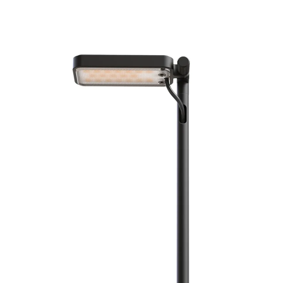 Luceplan LED-vejlampe Flia, 180 cm høj, sort, plast