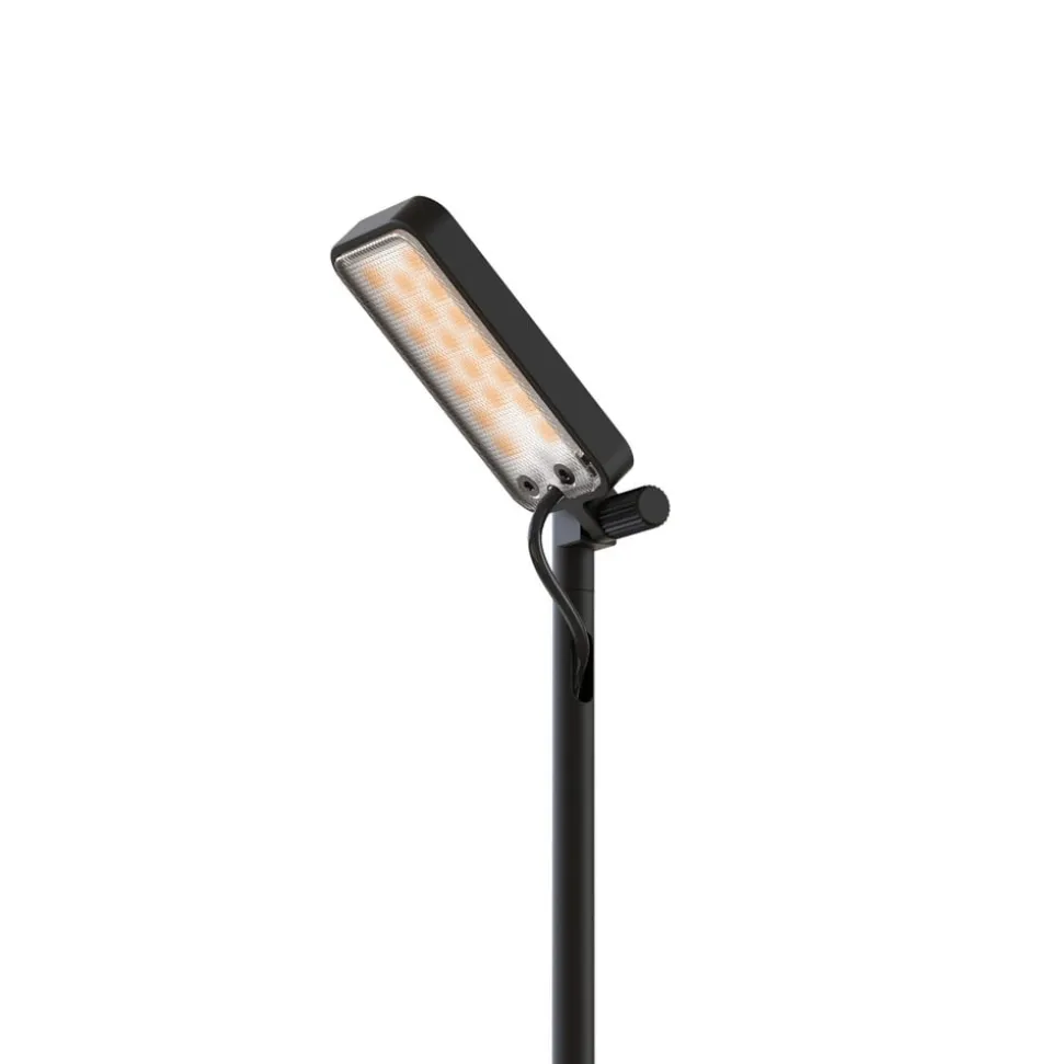 Luceplan LED-vejlampe Flia, 2 lyskilder, sort, plast