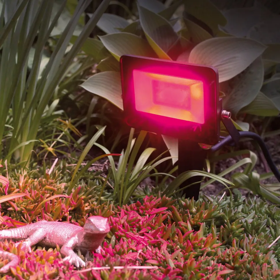 Megatron LED udendørs spotlight MT69070, RGBW