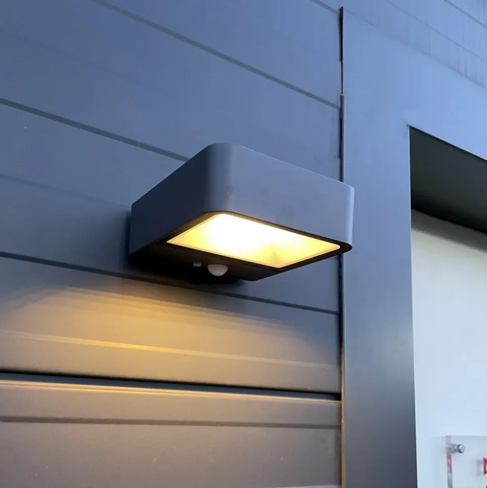 Megatron Wandia LED-solcellevæglampe, sensor
