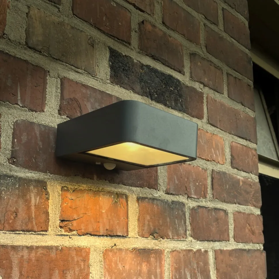 Megatron Wandia LED-solcellevæglampe, sensor